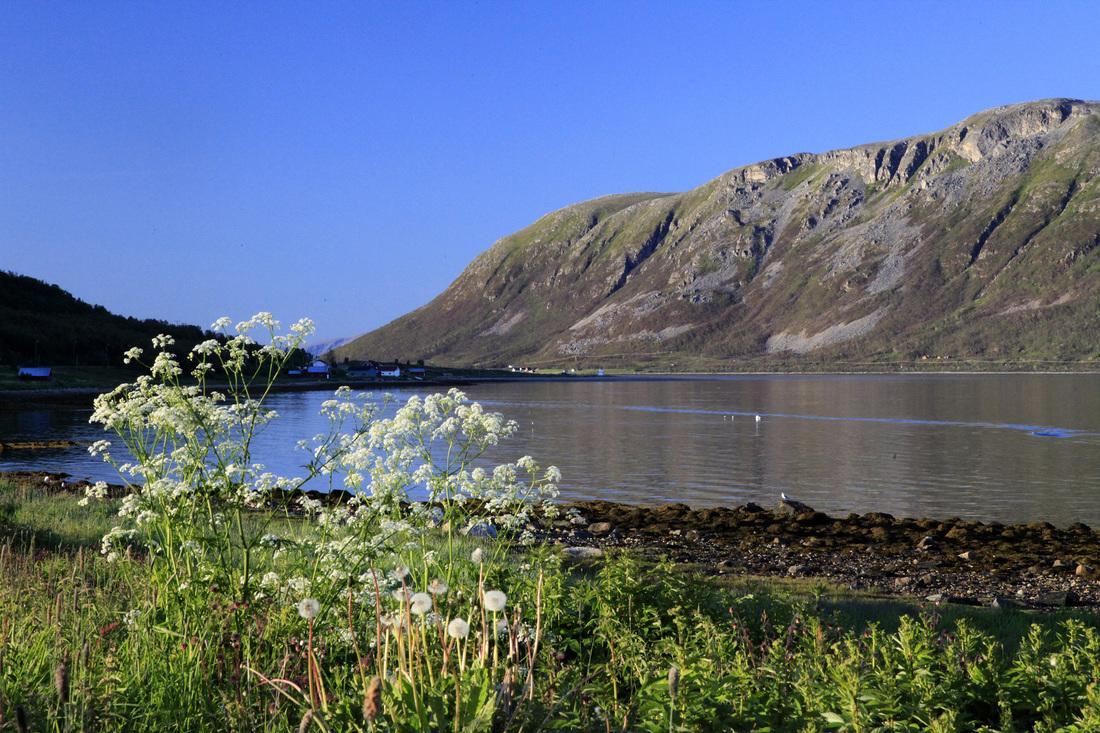Hansnes Havfiske Buitenkant foto